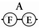 Affordable Family Eyewear Logo
